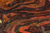 Polished Tiger Iron Stromatolite - ( Billion Years) #92844-1